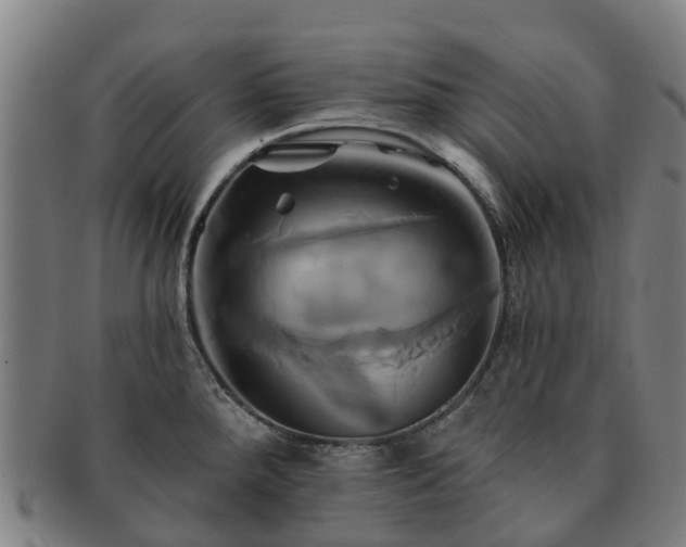 X0000091591288200708271234