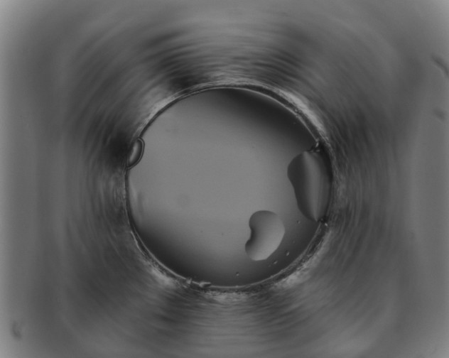 X0000091591289200708271234