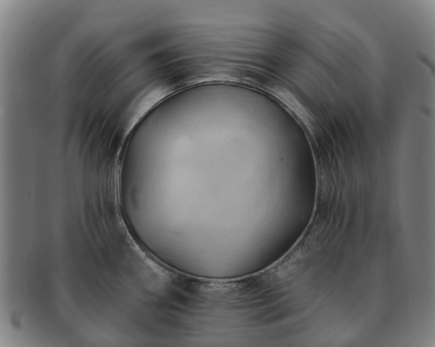 X0000091591290200708271234