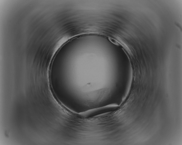 X0000091591291200708271234