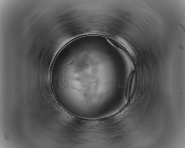 X0000091591292200708271234