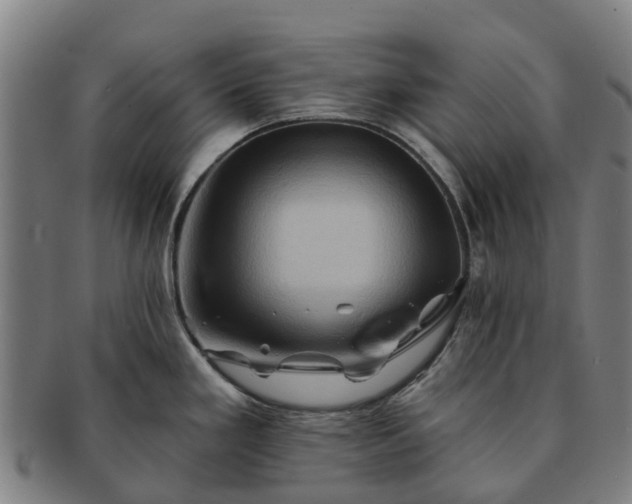 X0000091591293200708271234