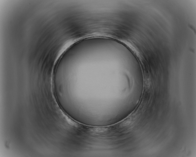 X0000091591294200708271234