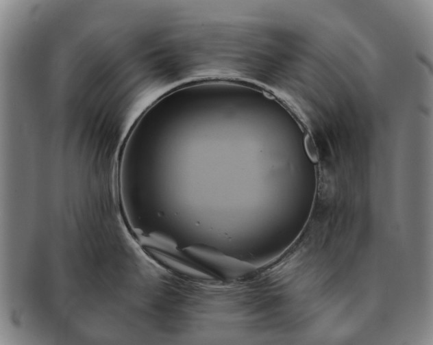 X0000091591295200708271234