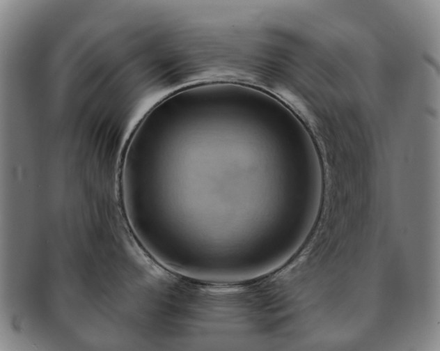 X0000091591296200708271234