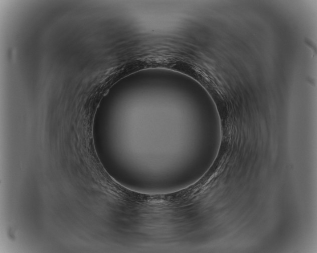 X0000091591297200708271234