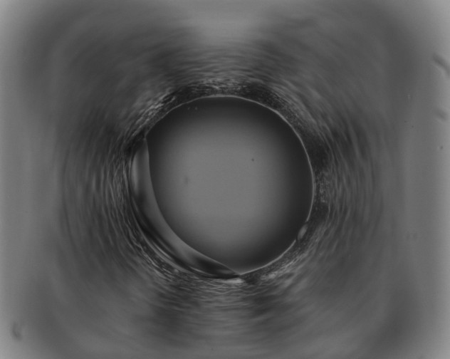 X0000091591298200708271234