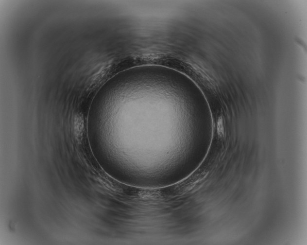 X0000091591299200708271234