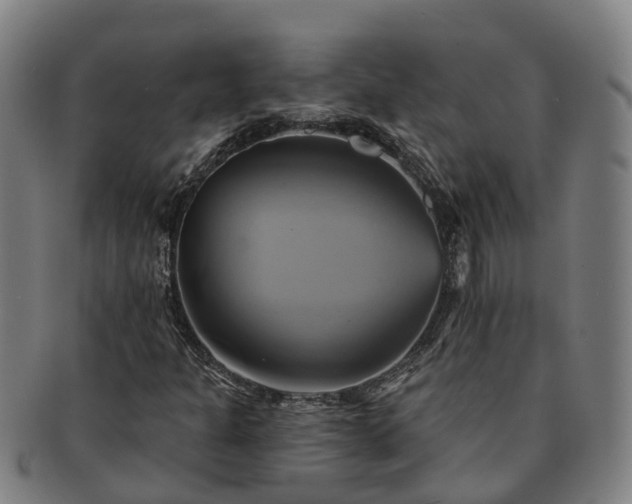 X0000091591301200708271234
