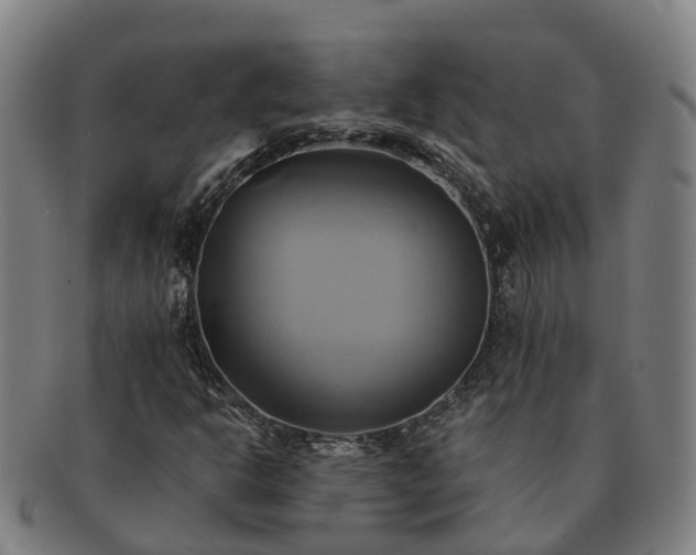 X0000091591302200708271234