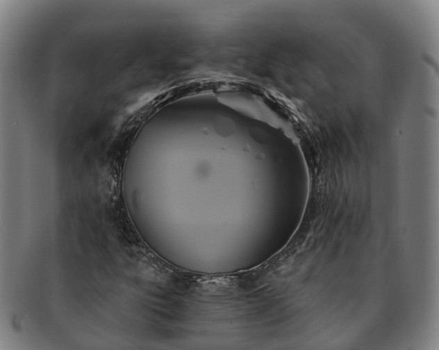 X0000091591303200708271234