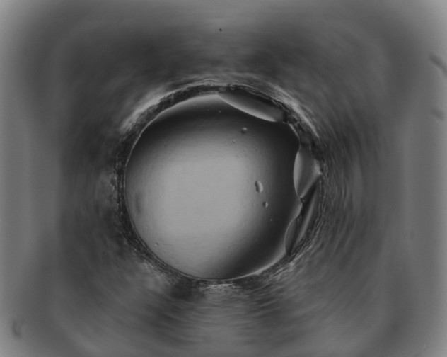 X0000091591304200708271234