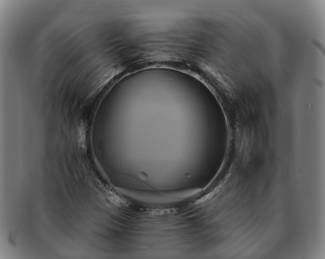 X0000091591305200708271234