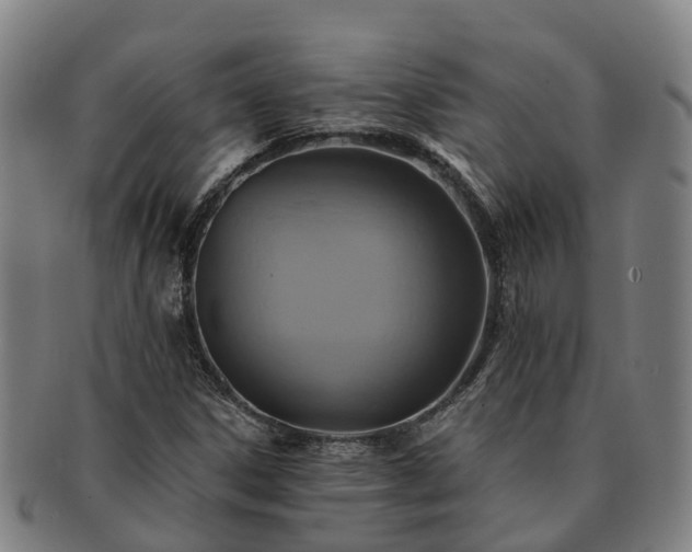X0000091591306200708271234