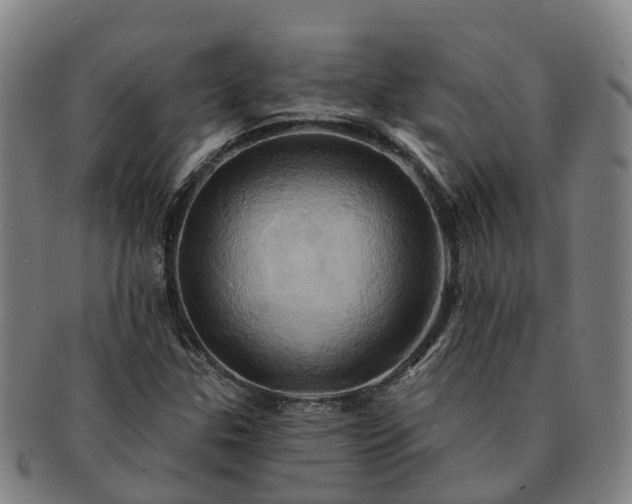 X0000091591307200708271234