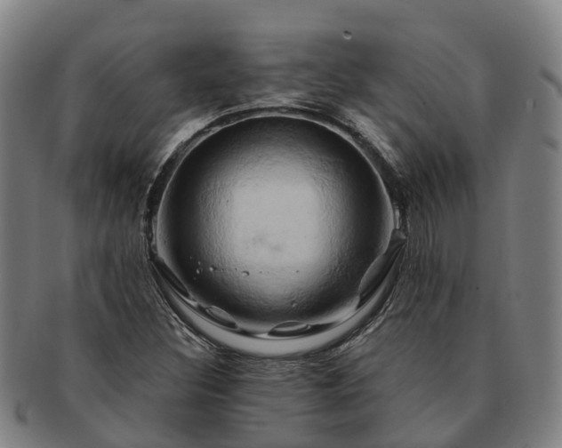 X0000091591308200708271234