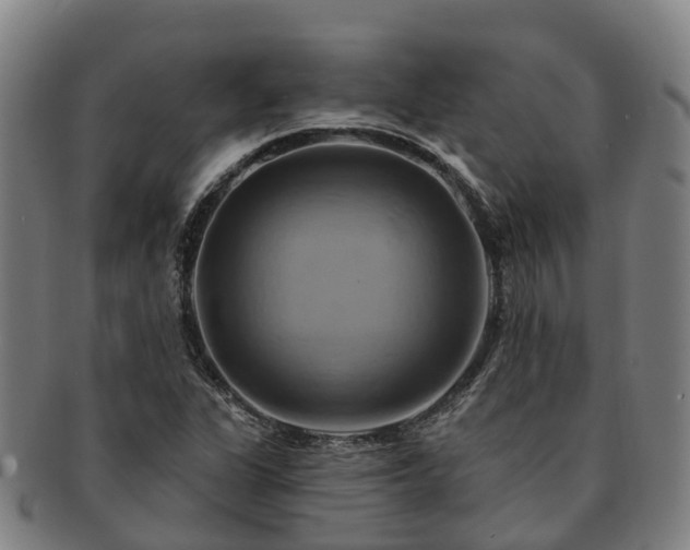 X0000091591311200708271234