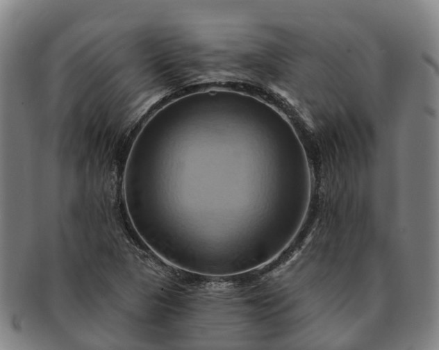 X0000091591313200708271234