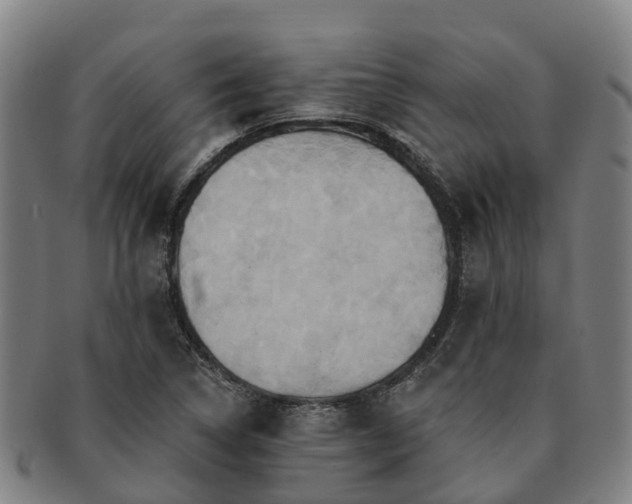 X0000091591314200708271234