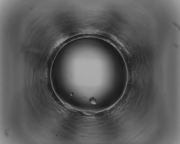 X0000091591315200708271234