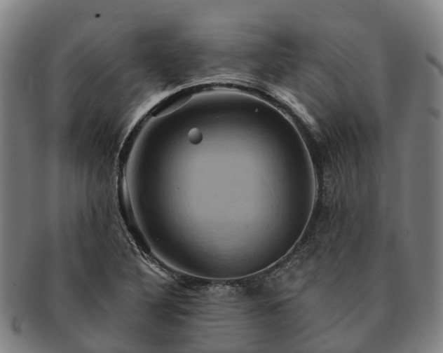 X0000091591316200708271234
