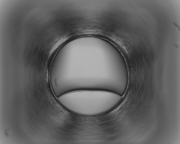X0000091591317200708271234