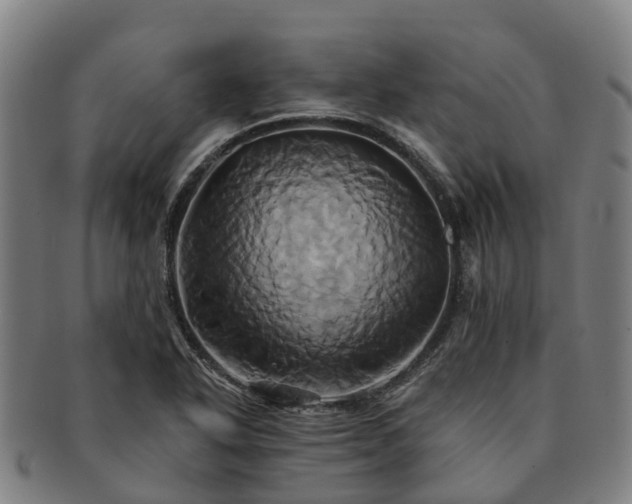 X0000091591318200708271234