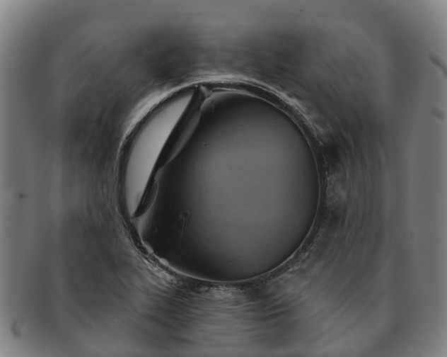 X0000091591319200708271234