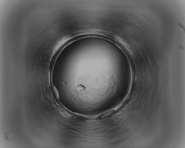 X0000091591320200708271234
