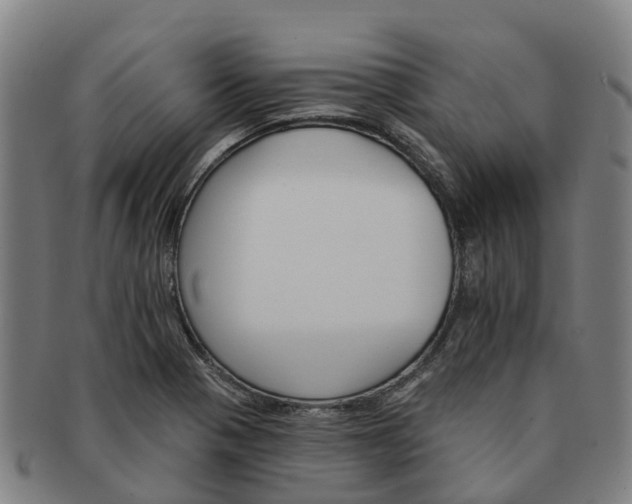 X0000091591321200708271234