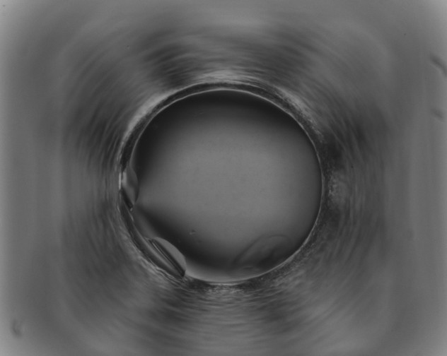 X0000091591323200708271234