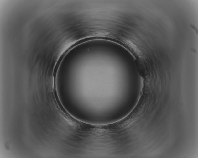 X0000091591324200708271234
