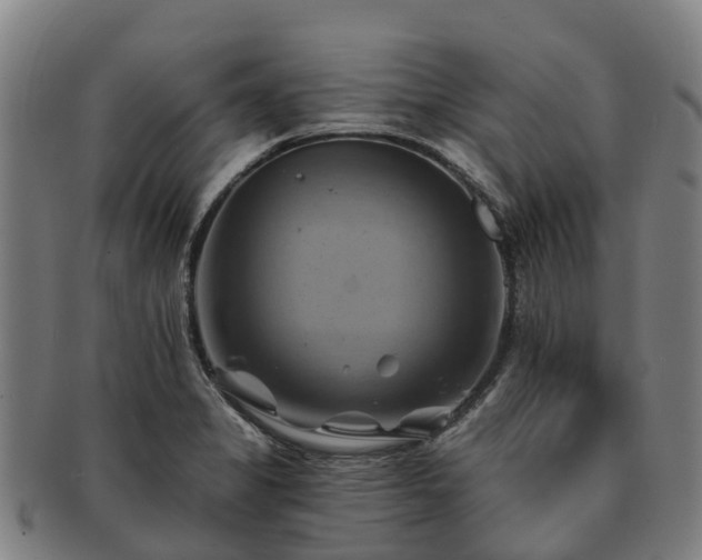 X0000091591325200708271234