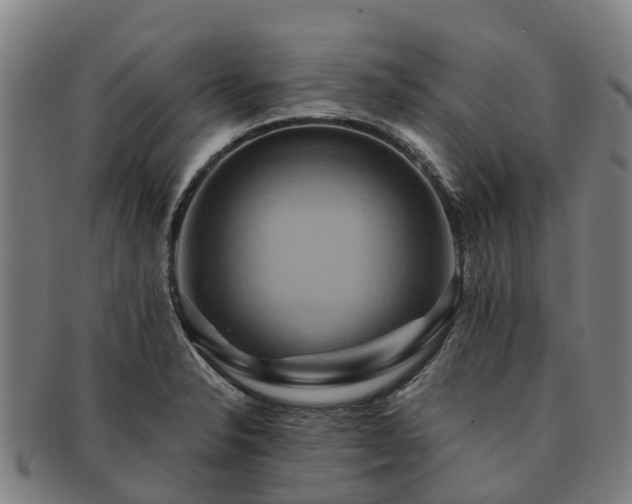 X0000091591326200708271234