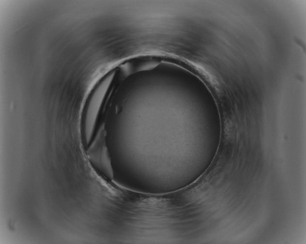 X0000091591327200708271234