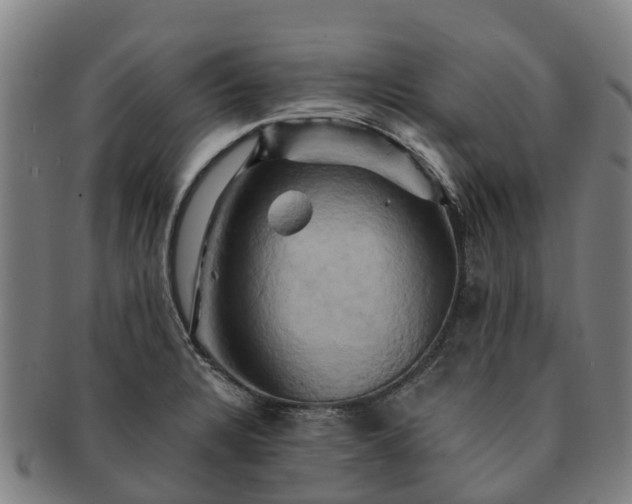 X0000091591328200708271234