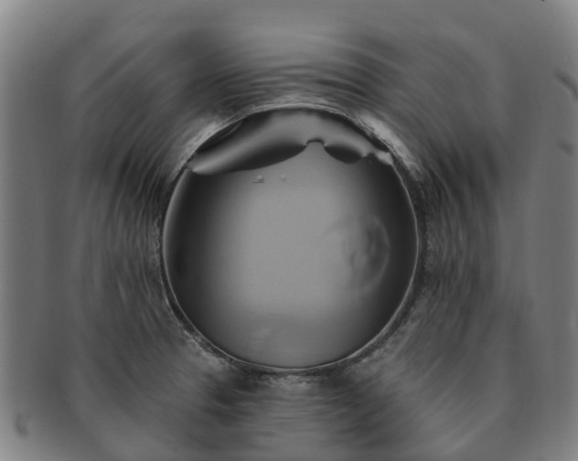 X0000091591329200708271234