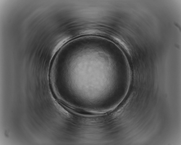 X0000091591330200708271234
