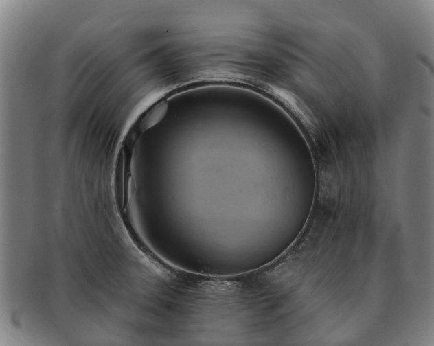 X0000091591331200708271234