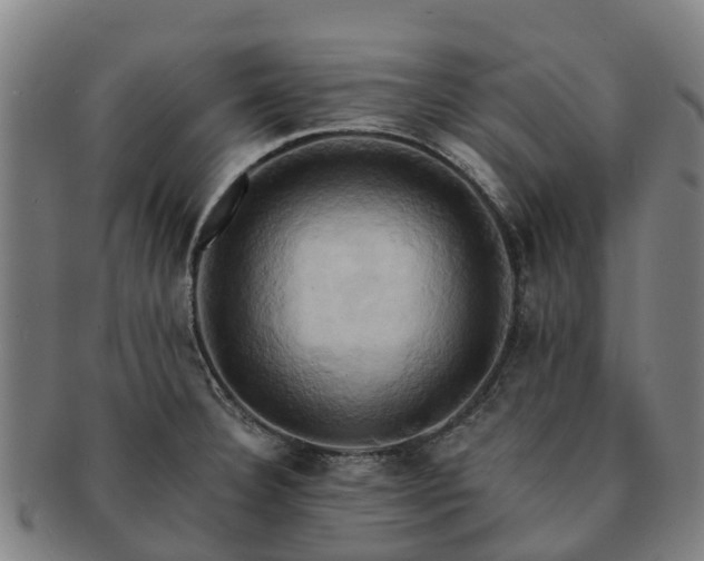 X0000091591332200708271234