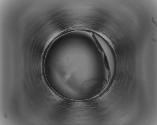 X0000091591333200708271234