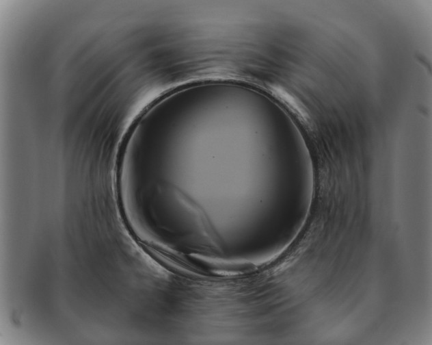 X0000091591334200708271234