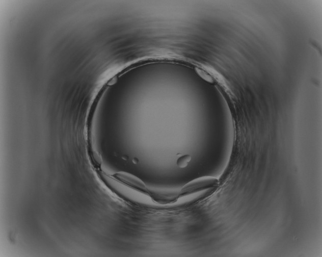 X0000091591335200708271234