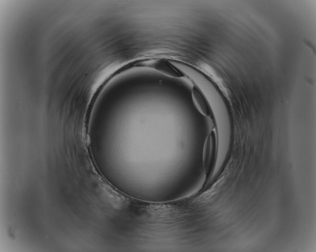 X0000091591336200708271234