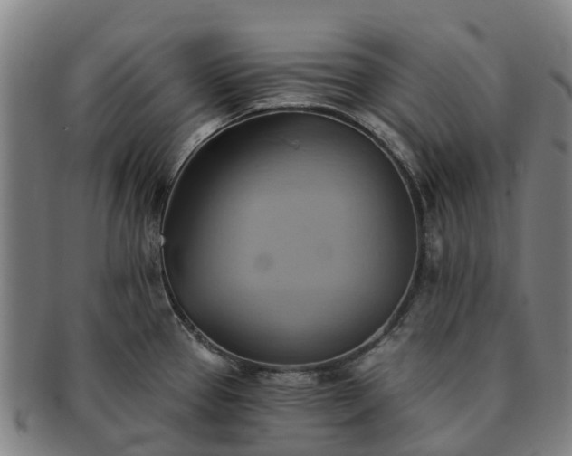 X0000091591337200708271234