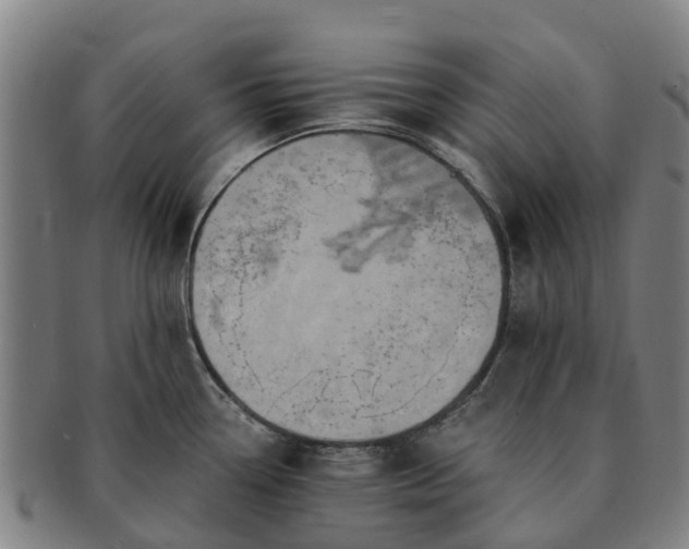 X0000091591338200708271234