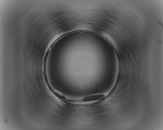 X0000091591339200708271234