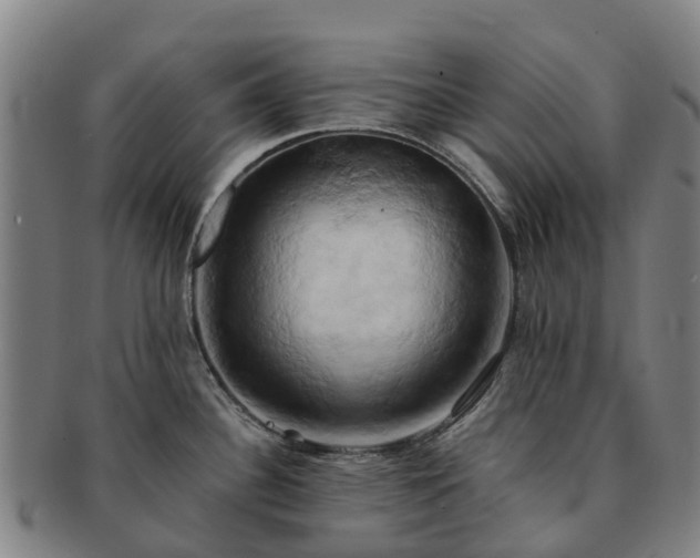 X0000091591340200708271234