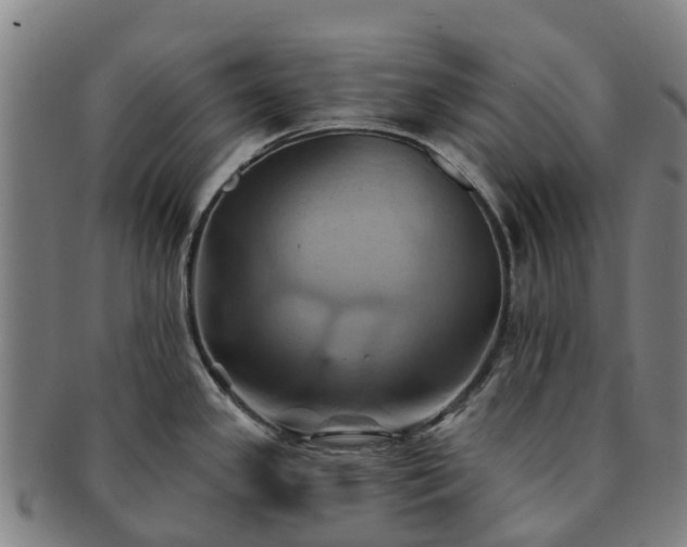 X0000091591341200708271234