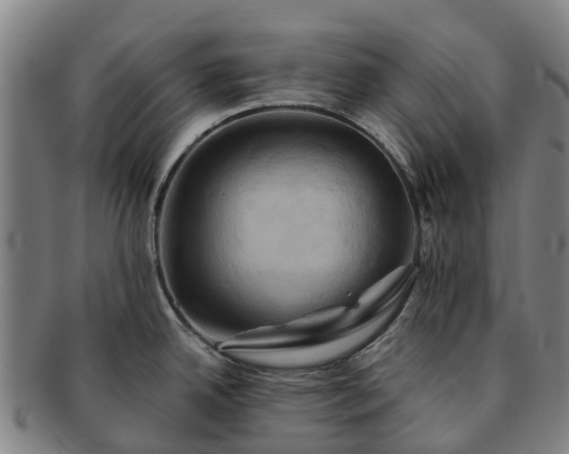 X0000091591342200708271234